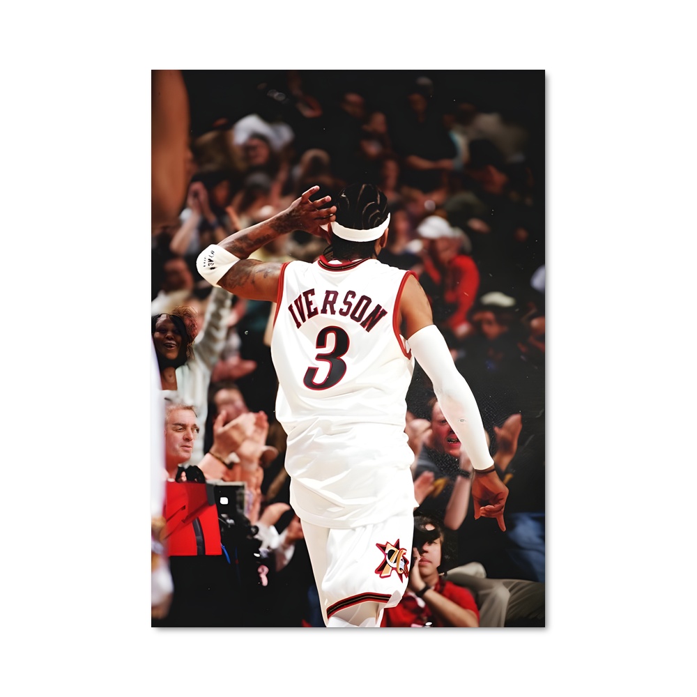 Poster Air Iverson Flight